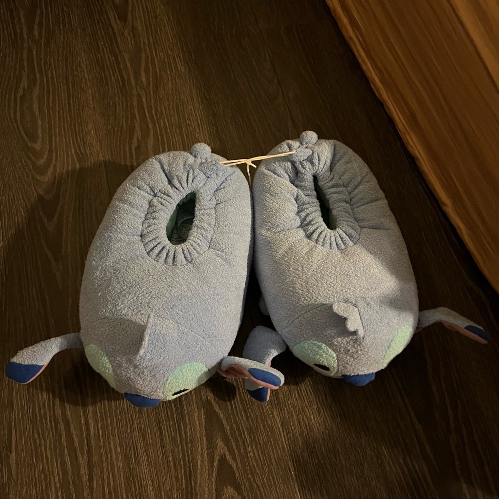 Blue Plush Slippers